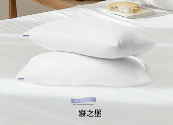 美國寢之堡 防蟎防床蝨抗汙枕頭保潔墊規劃